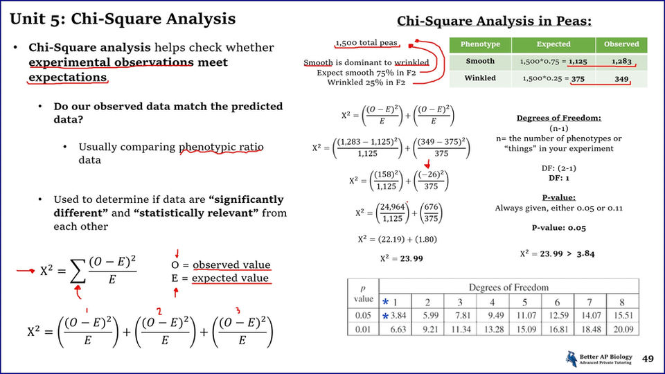 L5- Chi-Square Analysis